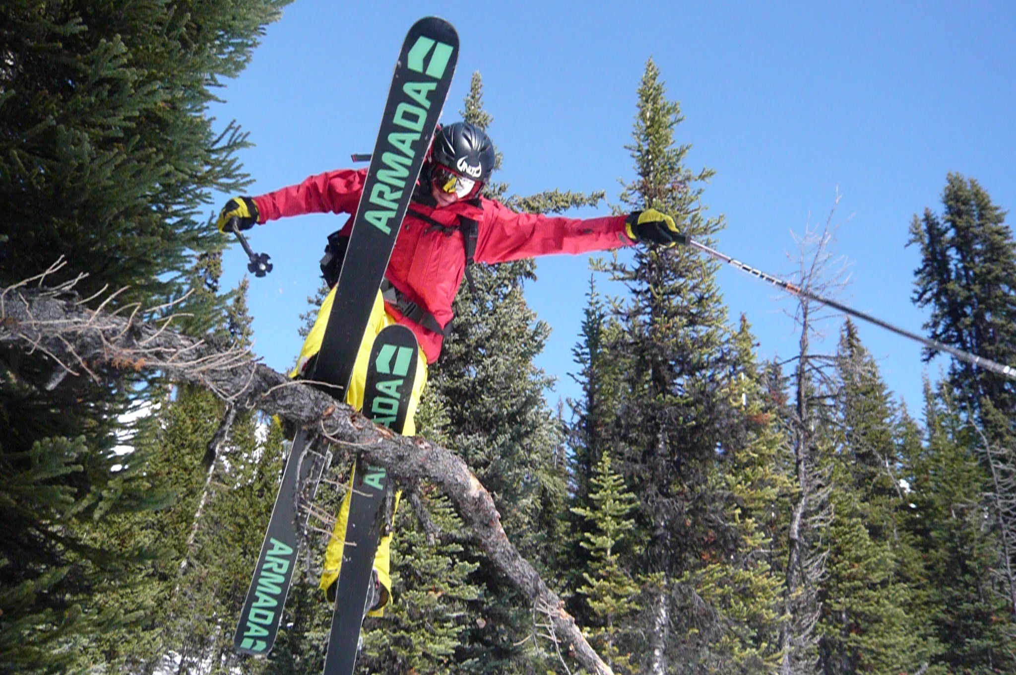 Tree Ride