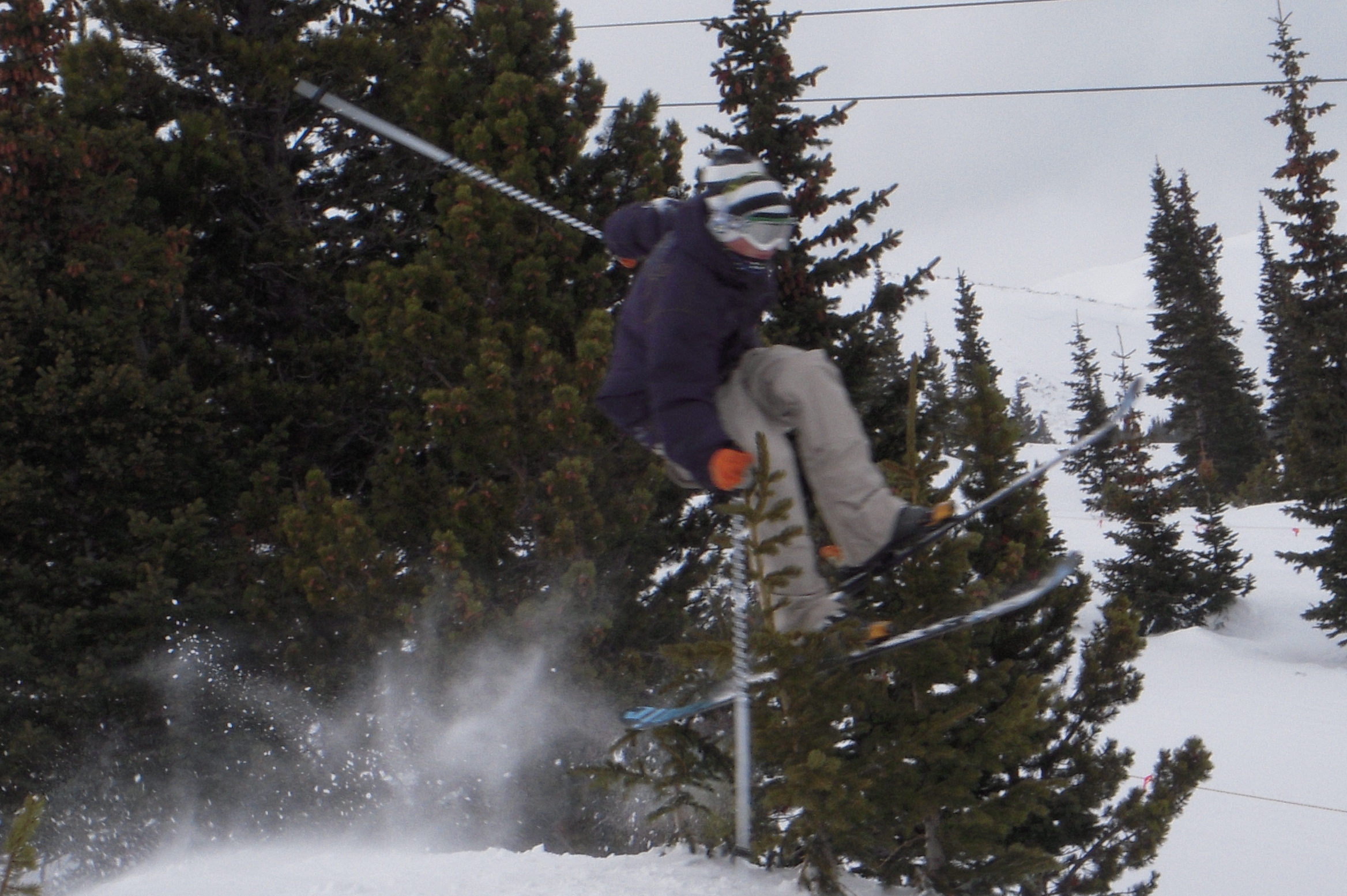 Tree riding like yeeeeee