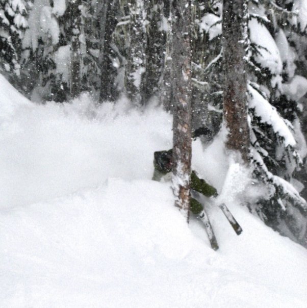 Tree skiing