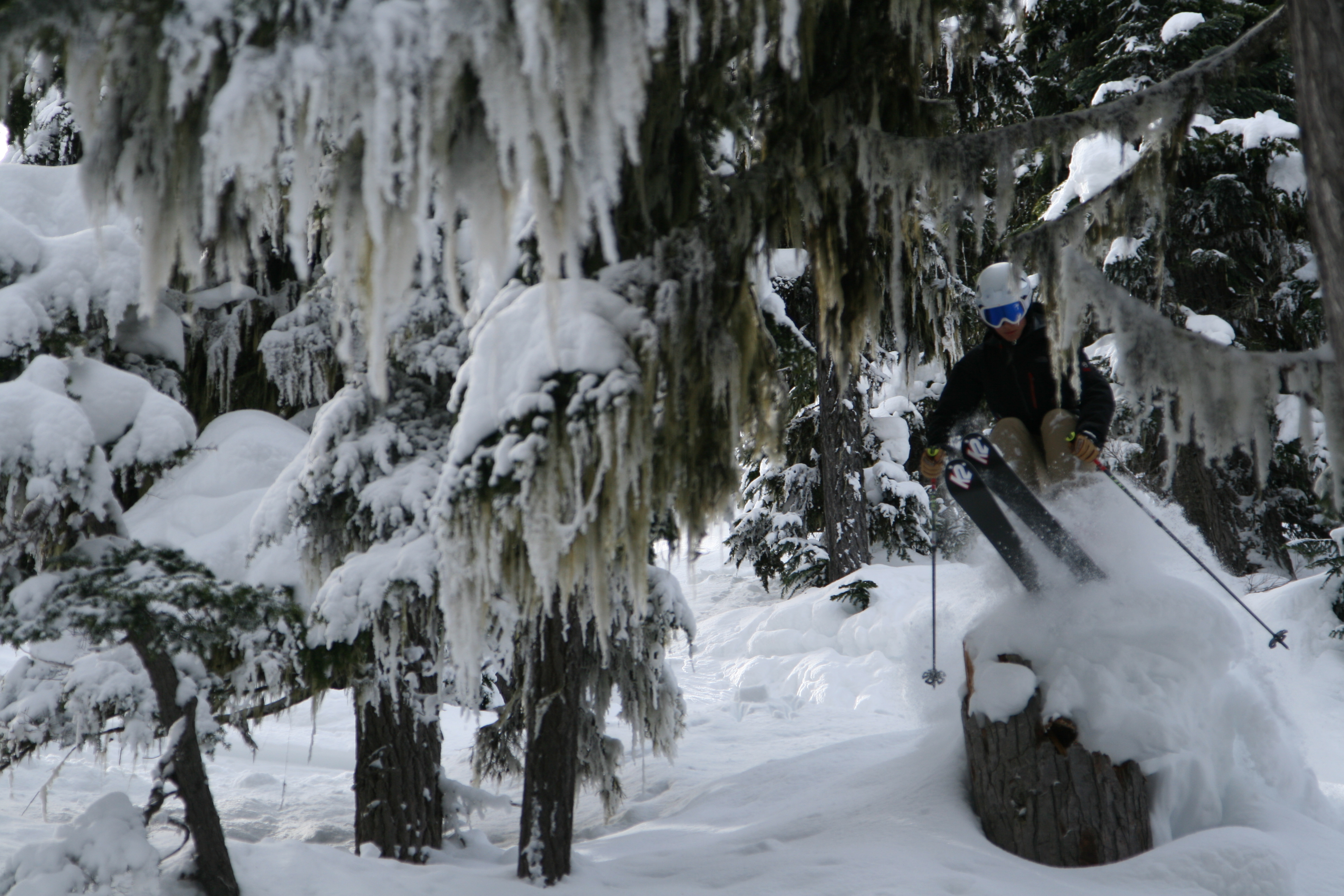 Tree Skiing