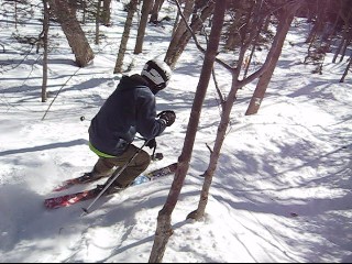 Tree Skiing