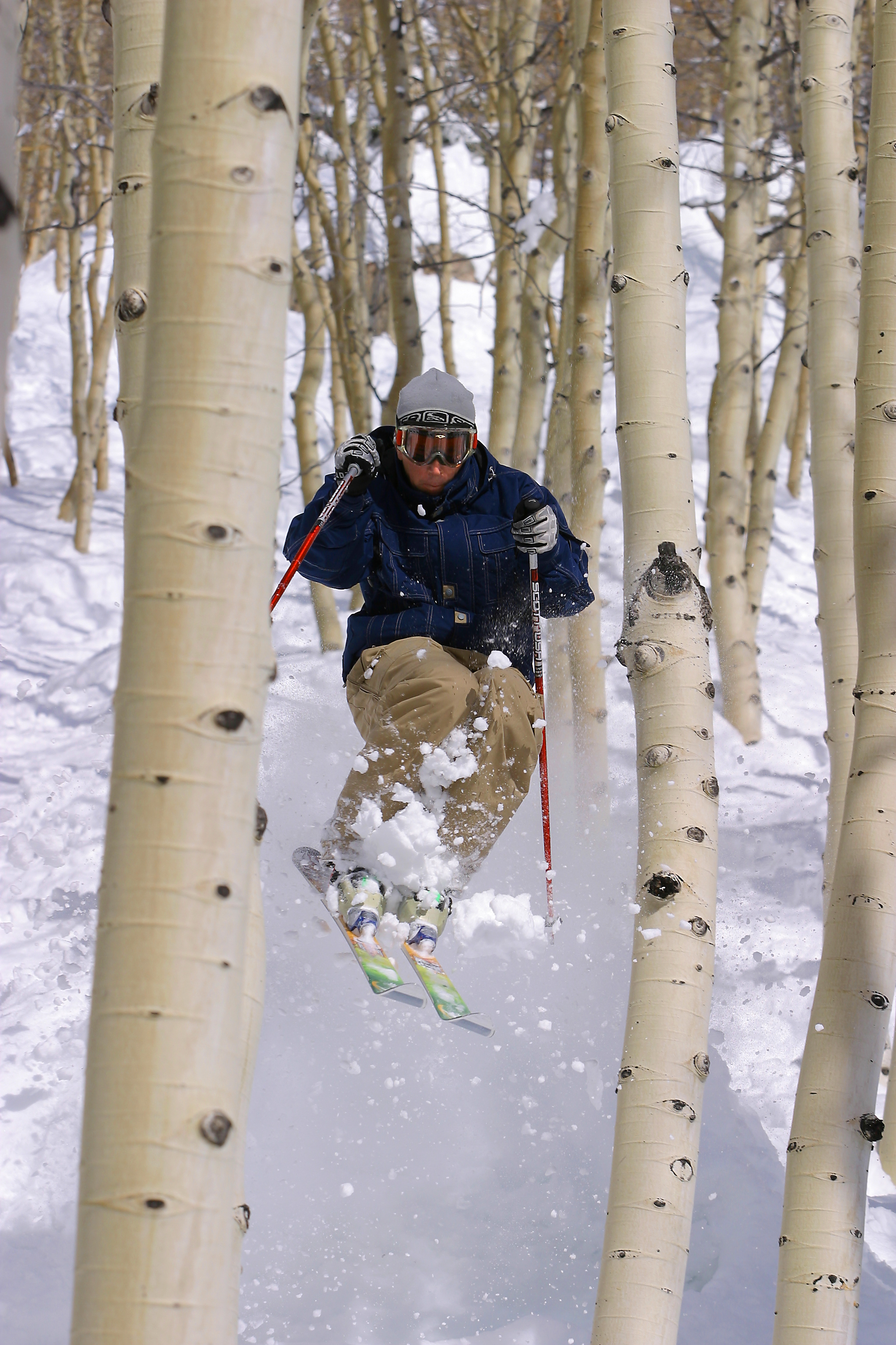 Tree squeeze w/ candides
