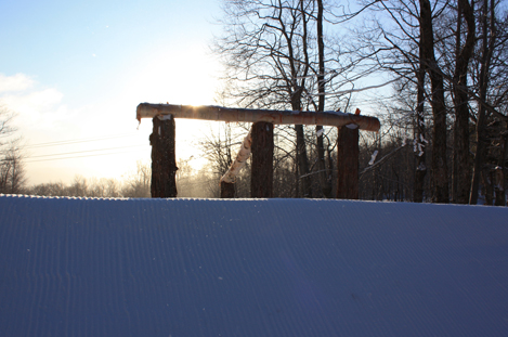 Tree Stall to Down Tree Jib