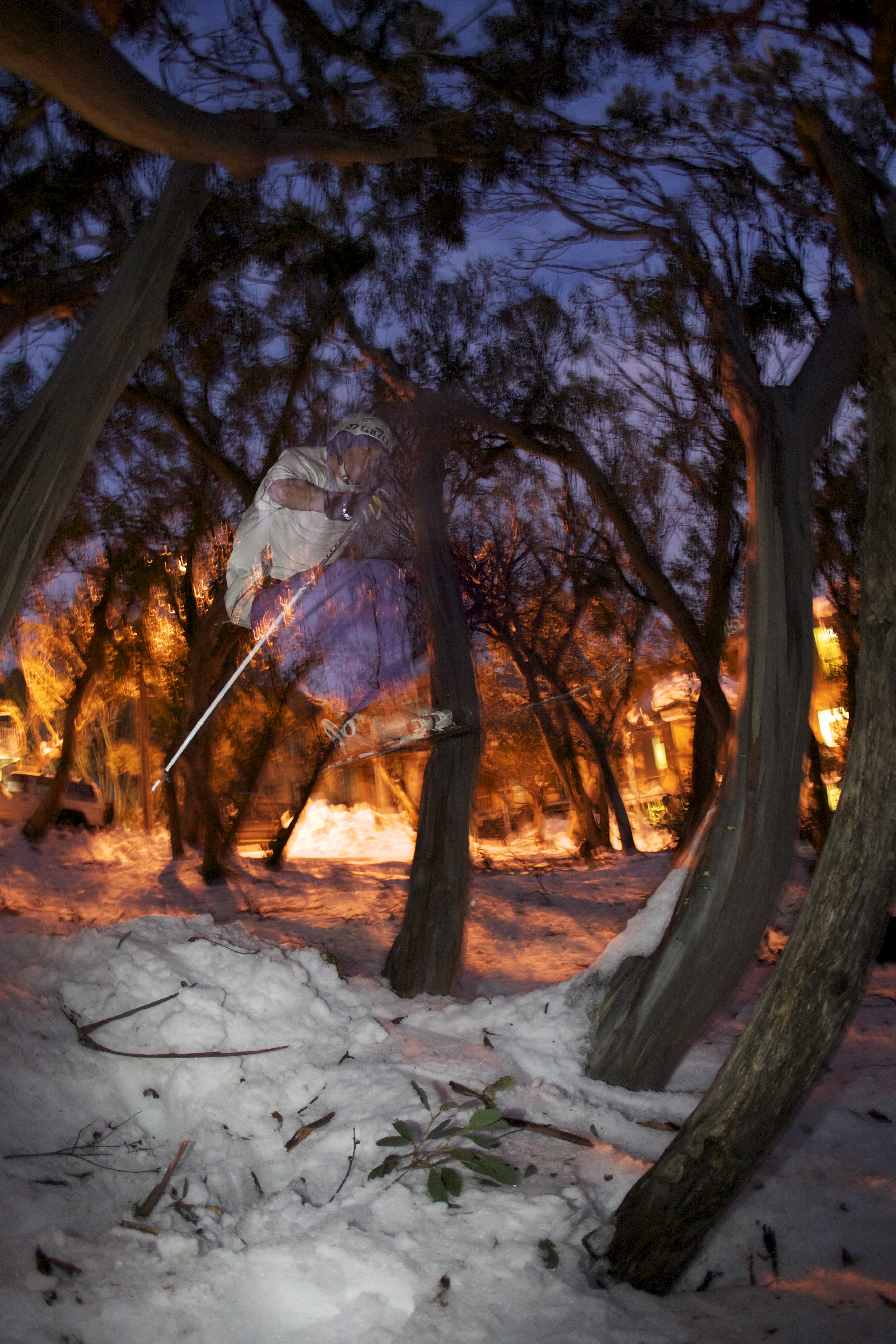 Tree tap at Mt Buller