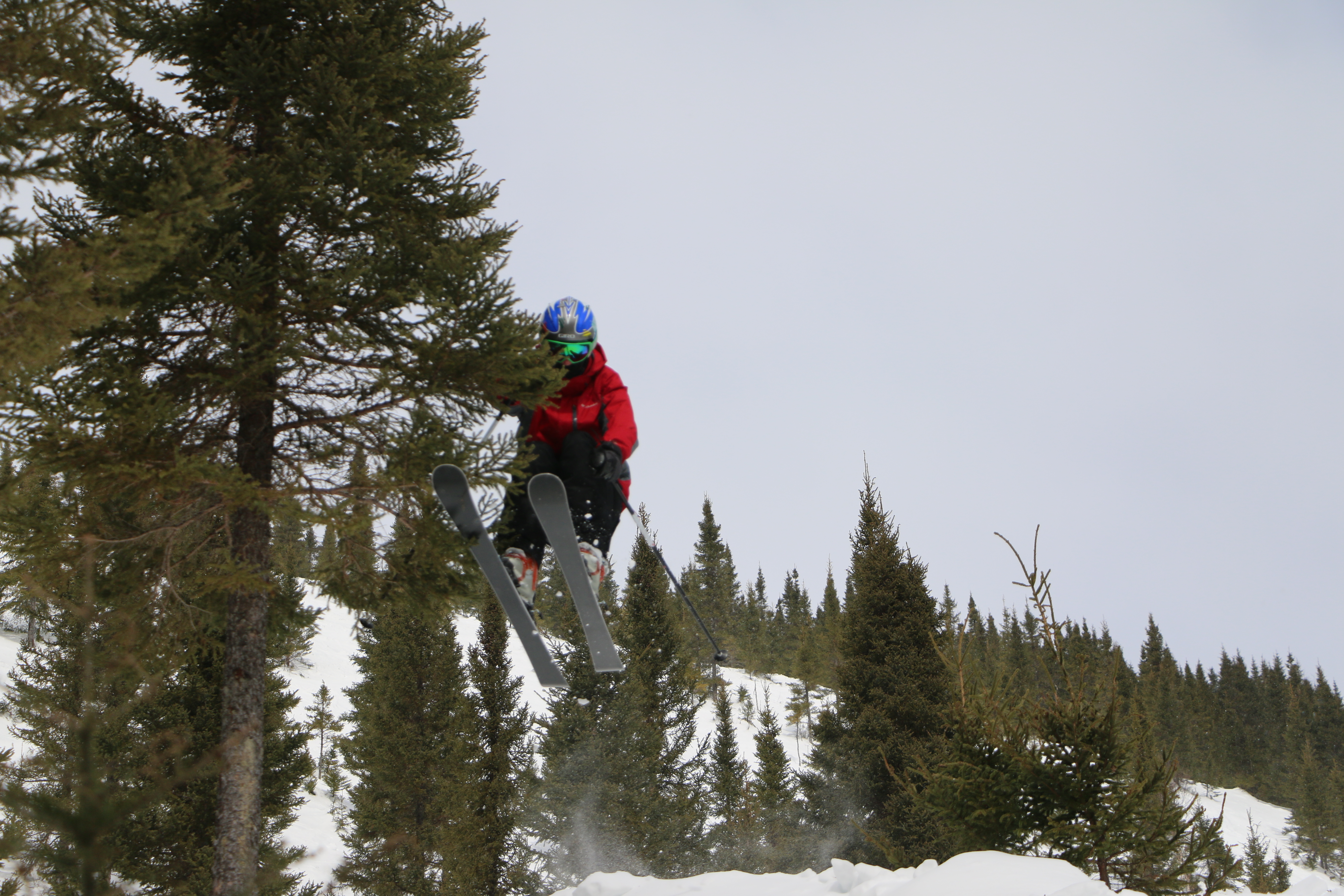 Tree Tap in the Chic Chocs