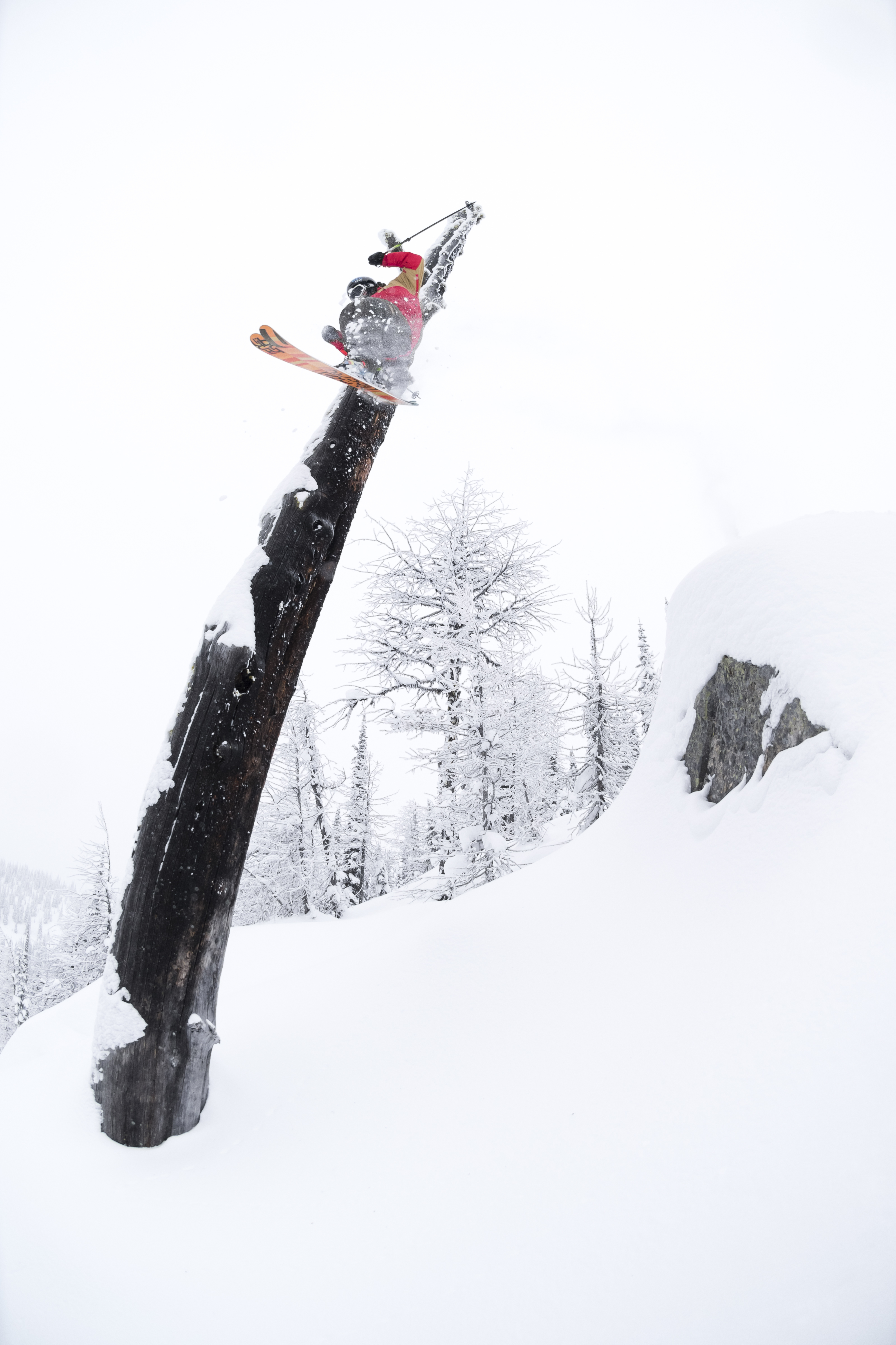 Tree Tap - Tanner Gordon