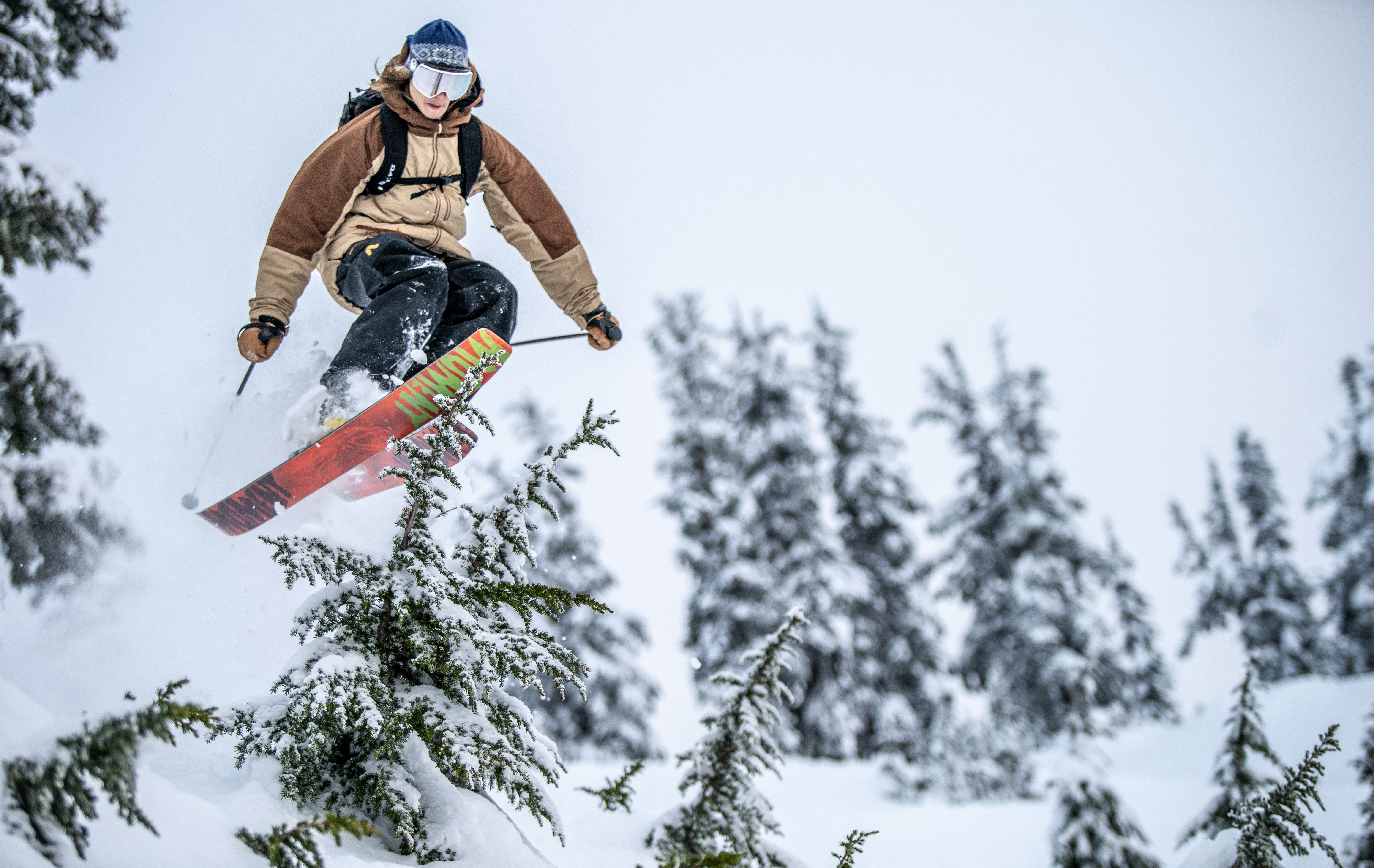 Tree Tappin Into The New Year