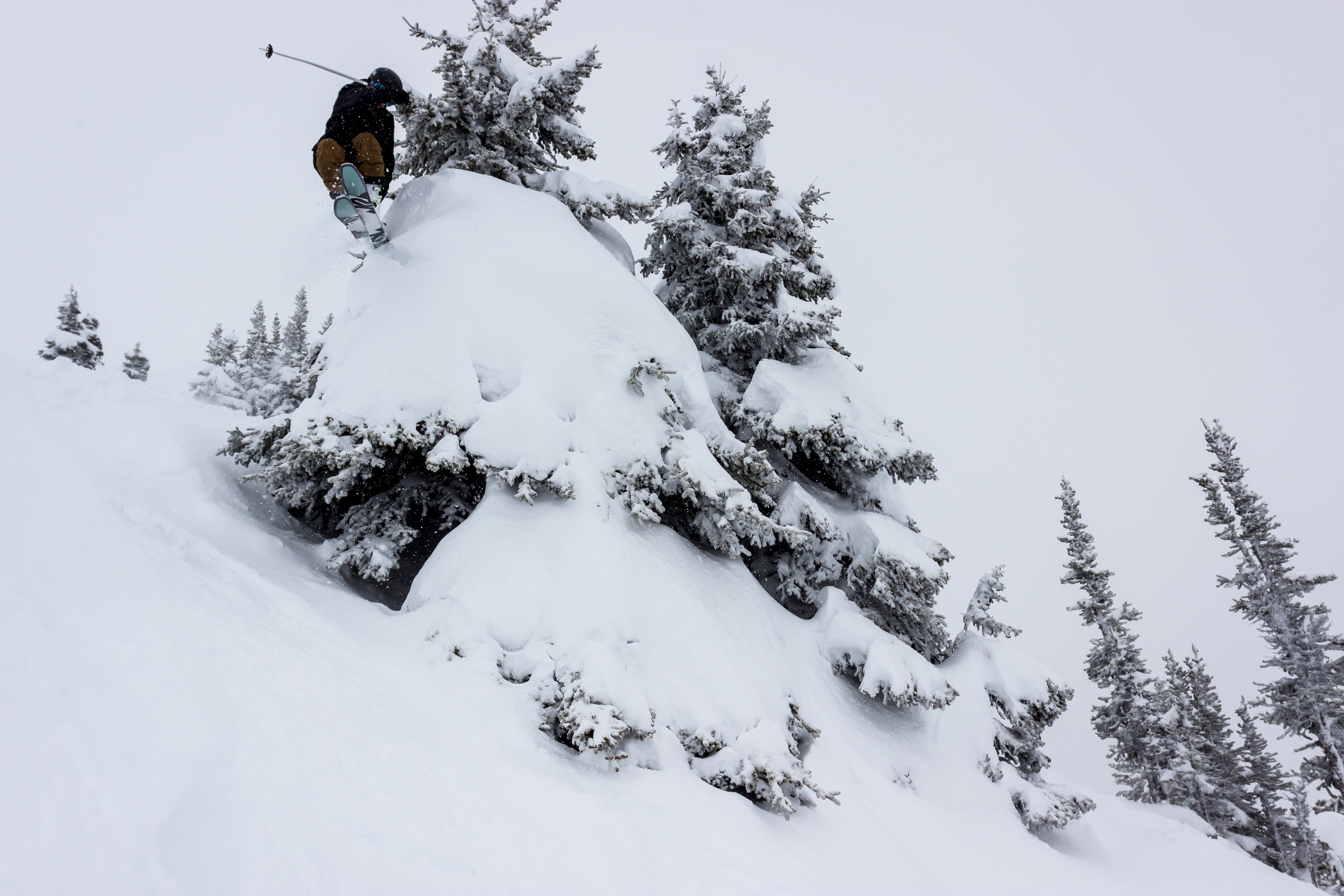 Tree Tappin'