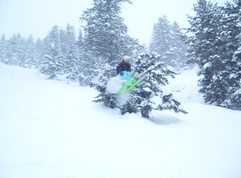 Tree thing at J-Hole