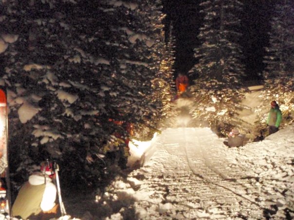 Tree Three Night Shoot