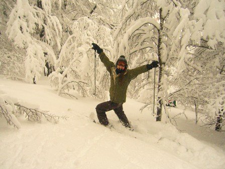 Trees and Powder!! :)