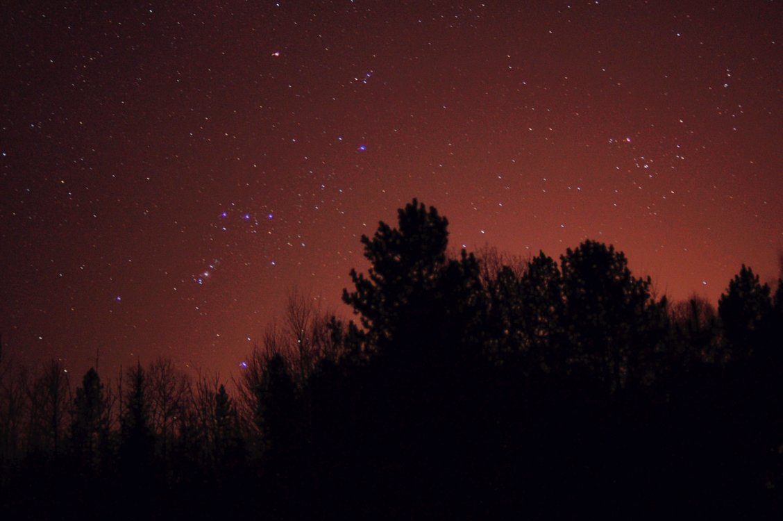 Trees and Stars Long Exposure
