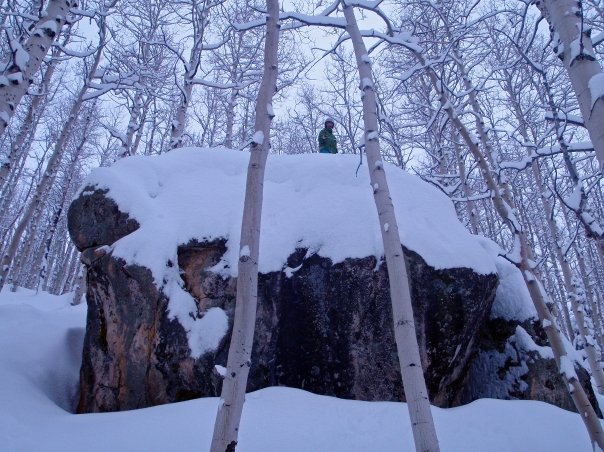 Trees off four points