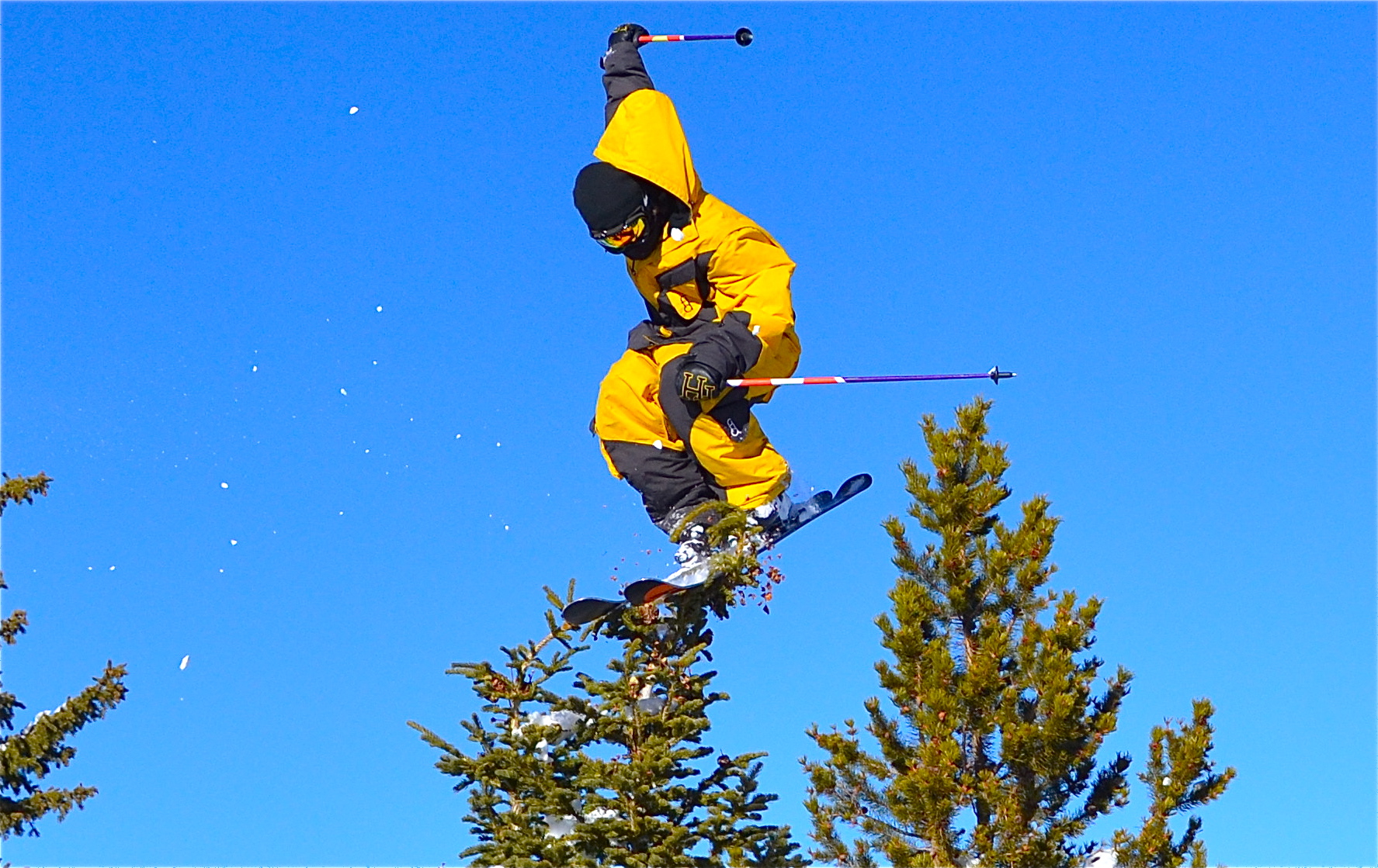 Trent Jones Trimming Trees