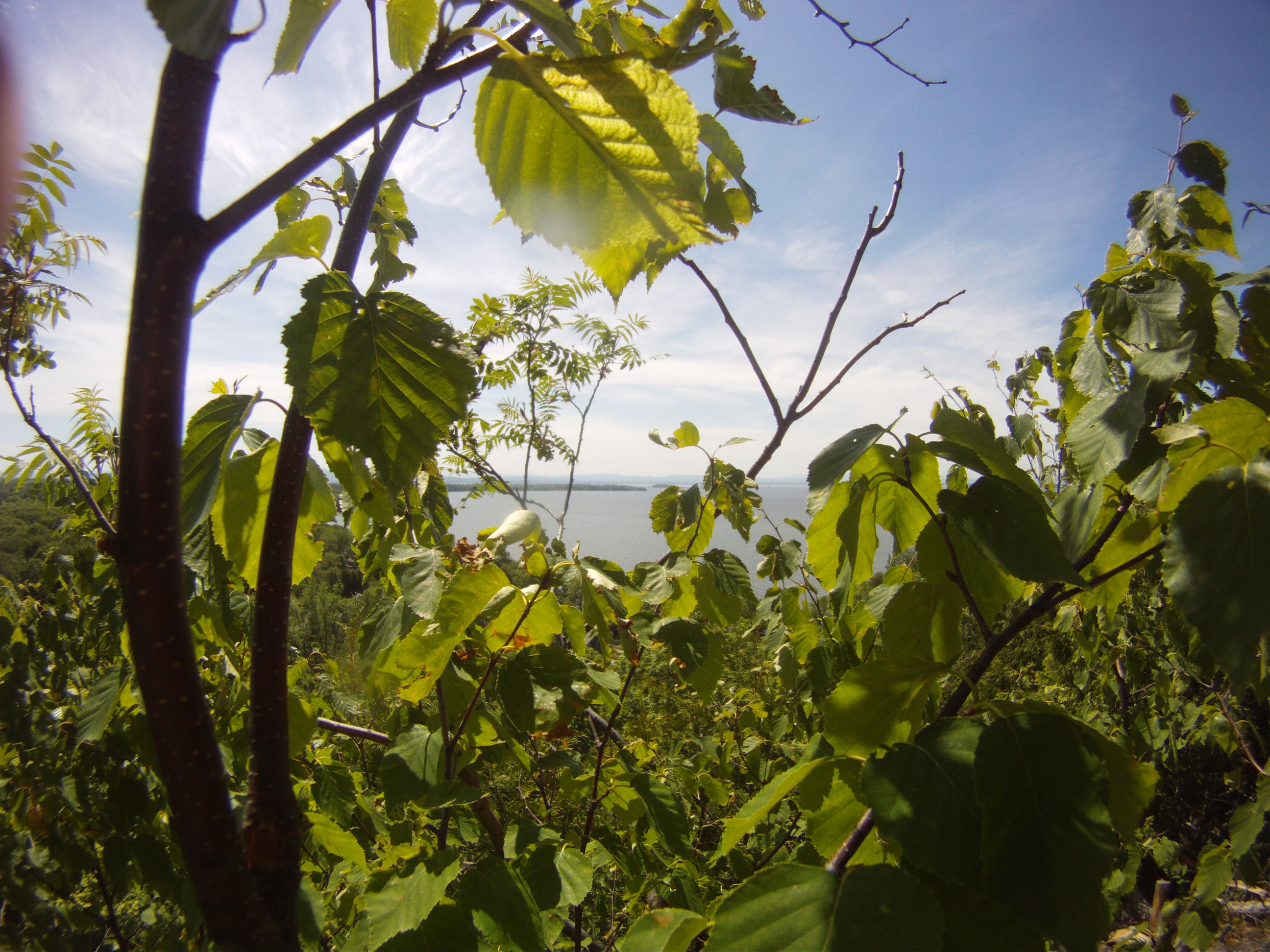 Tried to get alittle artsy