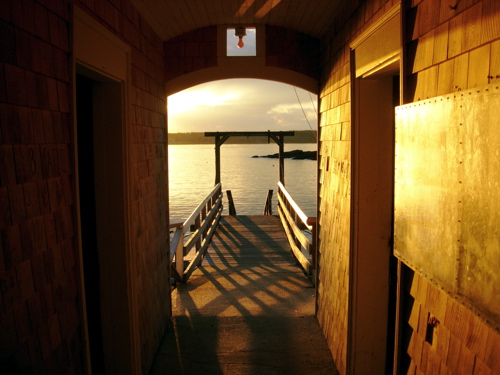 tried to get artsy, tell me what you think