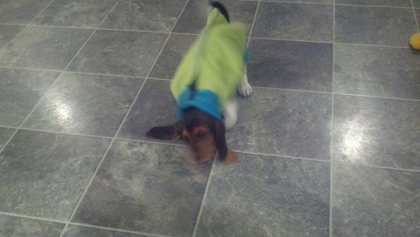 Trippin on her ears in a ballin sweater