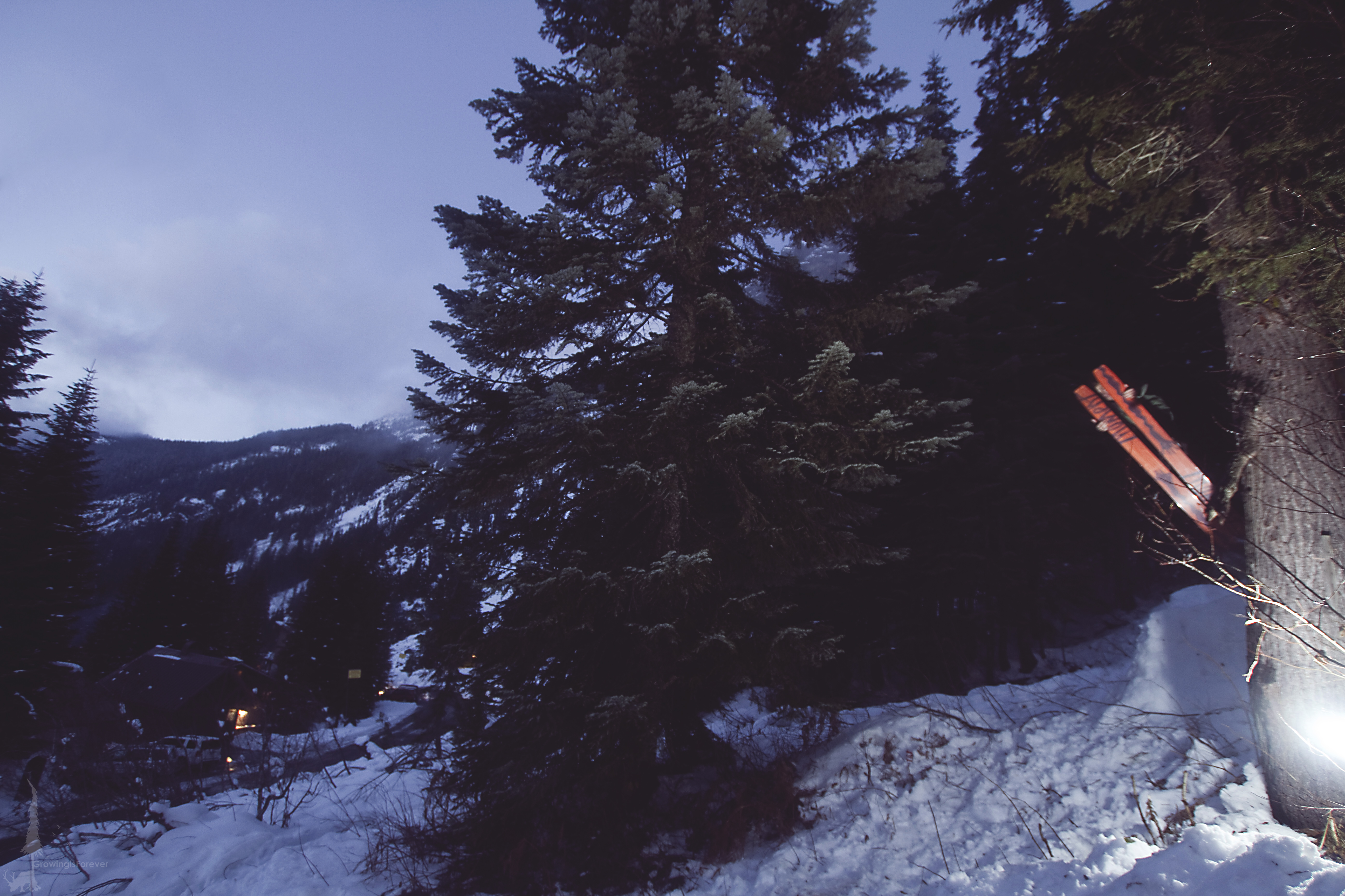 Trucker Treebranch Tail Tap