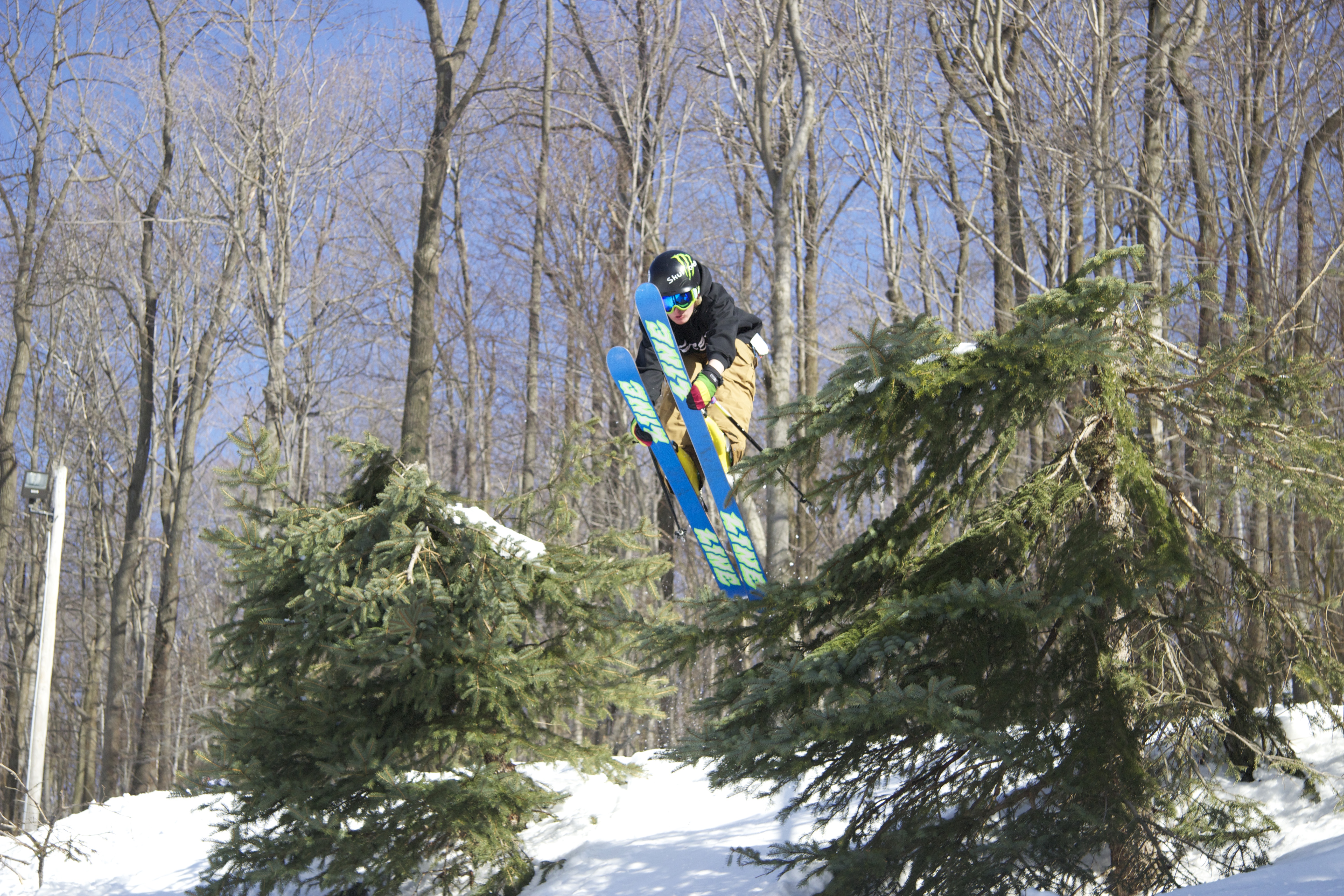 Truckin' through the trees