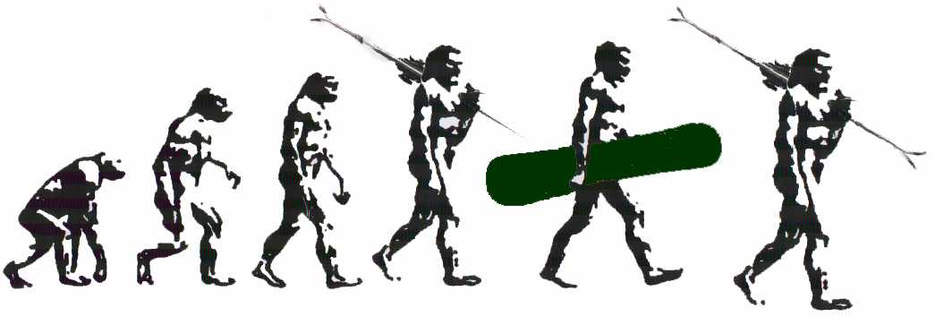 TRUE EVOLUTION ENDS IN TWIN TIP