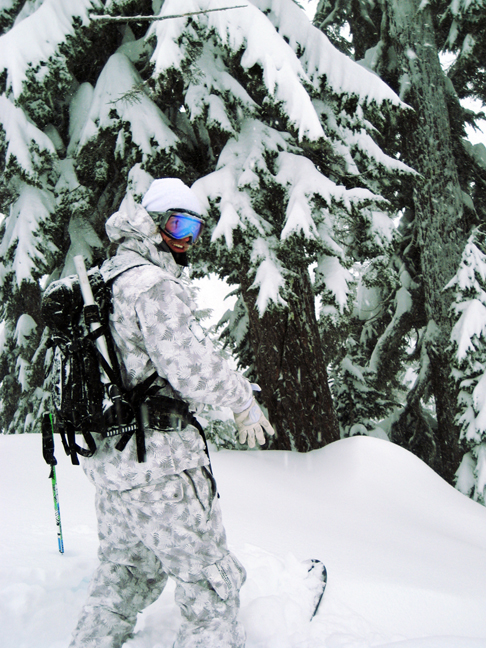 Trying to disappear in the woods