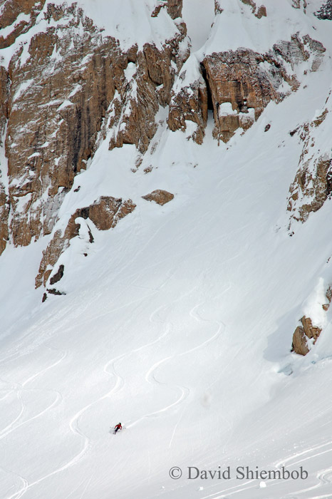 Trying to not think about how hungover I am