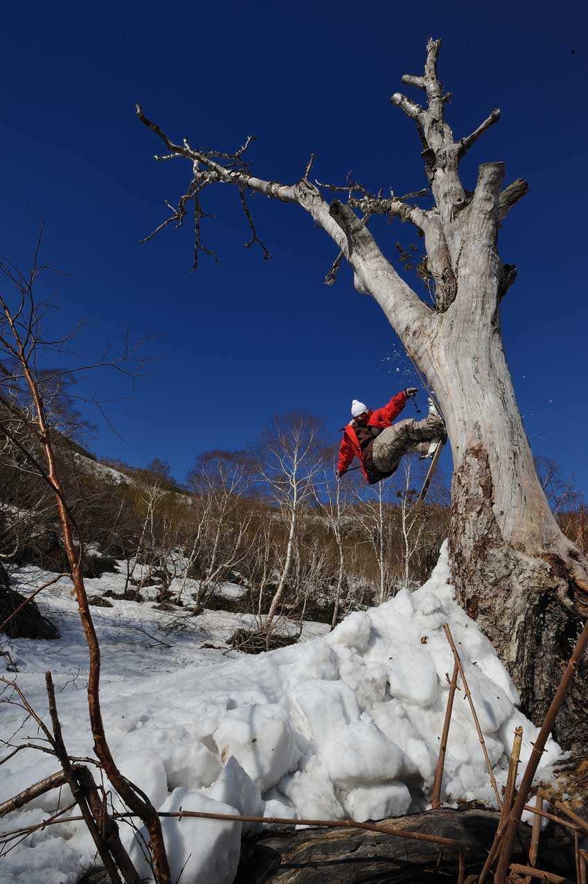 Tsubasa tree ride in niseko