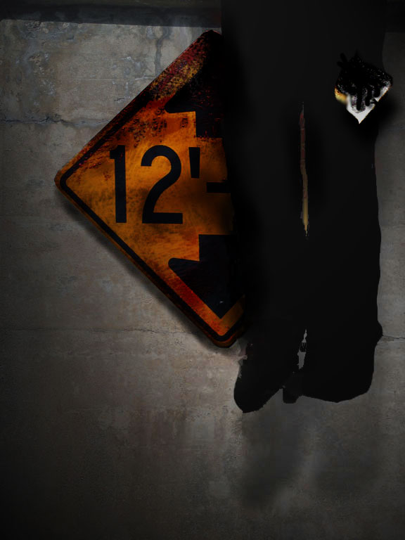 twelve foot endless plunge