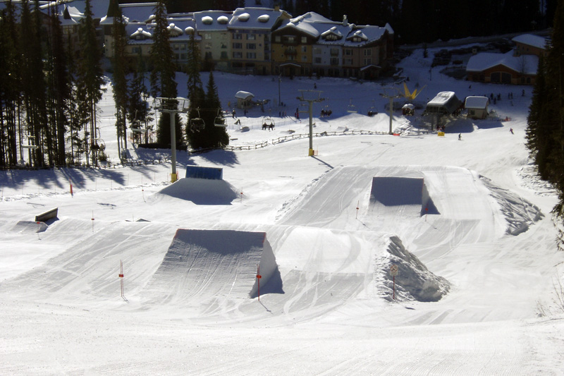 Twins, basil, twins!