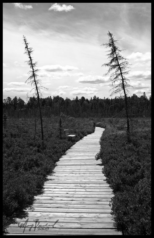 Two Amongst Desertion