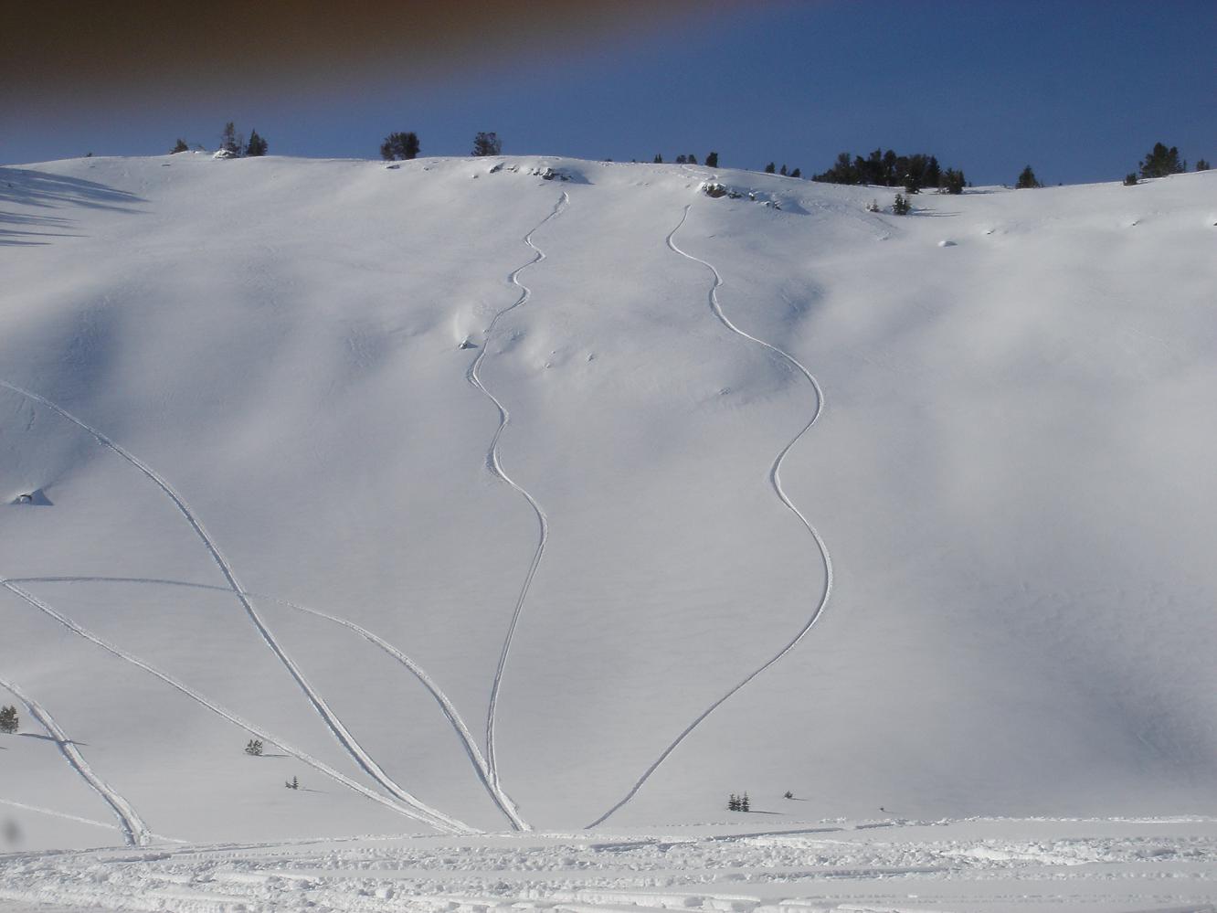 Tyler and Keegans Lines