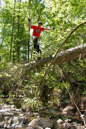 Uni Rider.....Tree ride