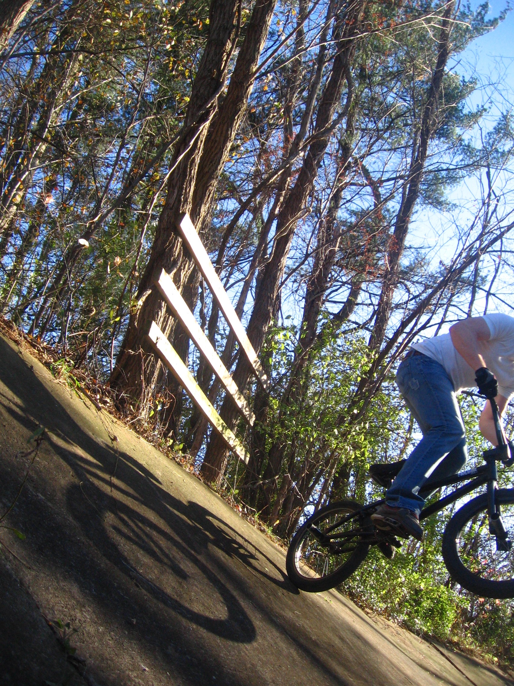 Until winter finally comes here