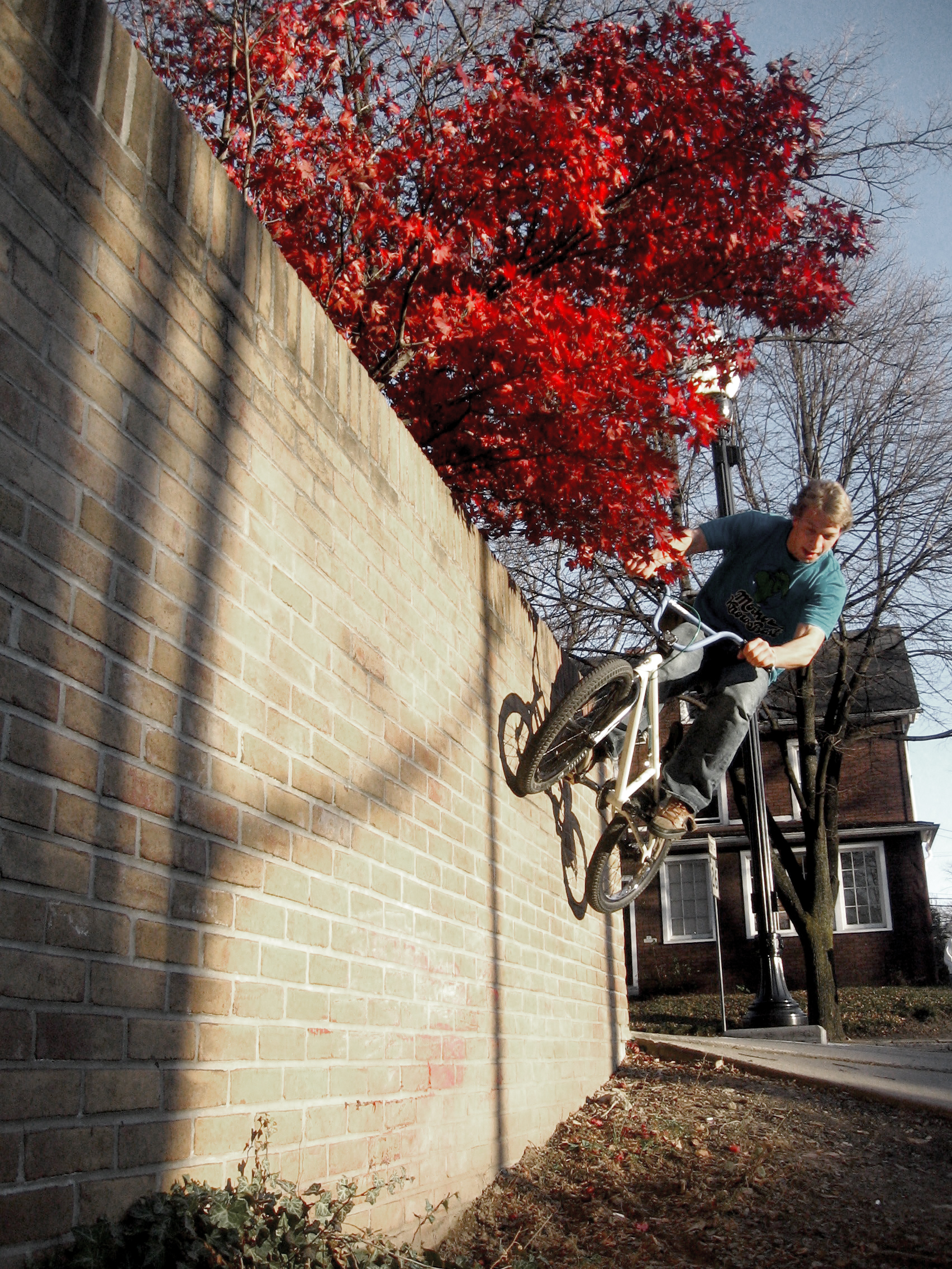 Until winter finally comes here