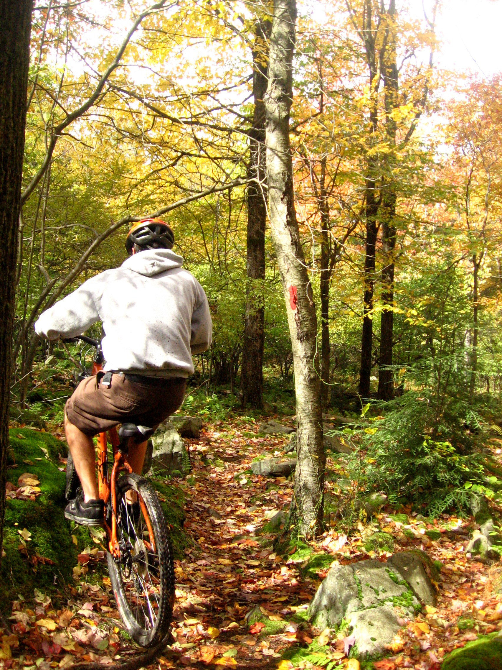 Until winter finally comes round here