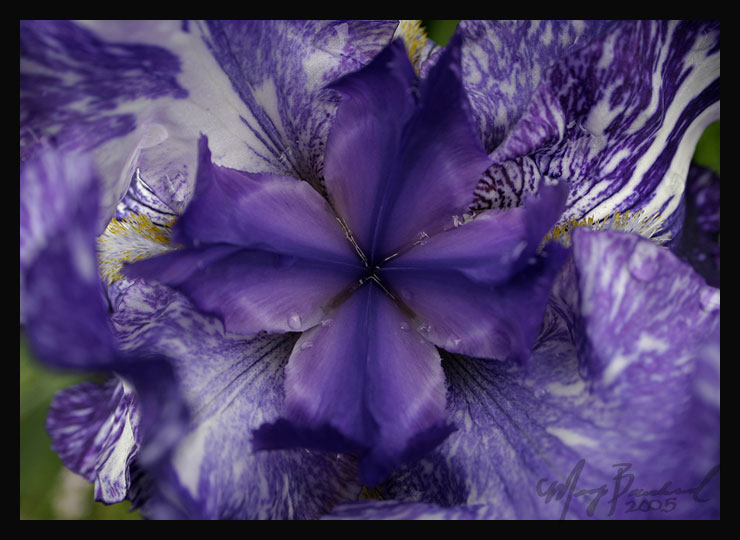 Up close and personal