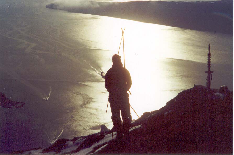 Up on the mountain, early june