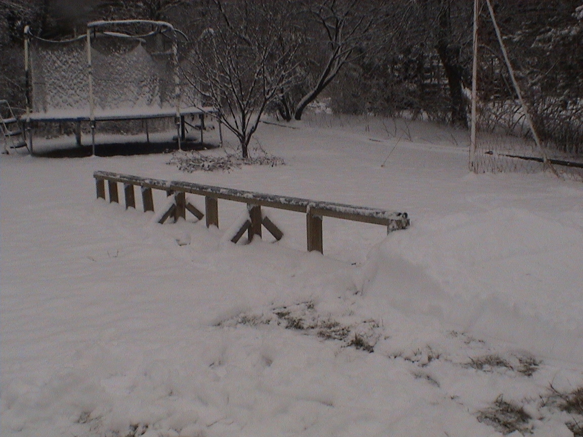 Upgraded backyard rail 2, 18 ft