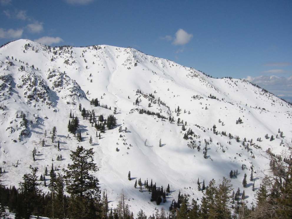 Utah Cat Skiing