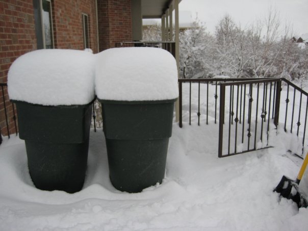 Utah snow right thurrr...