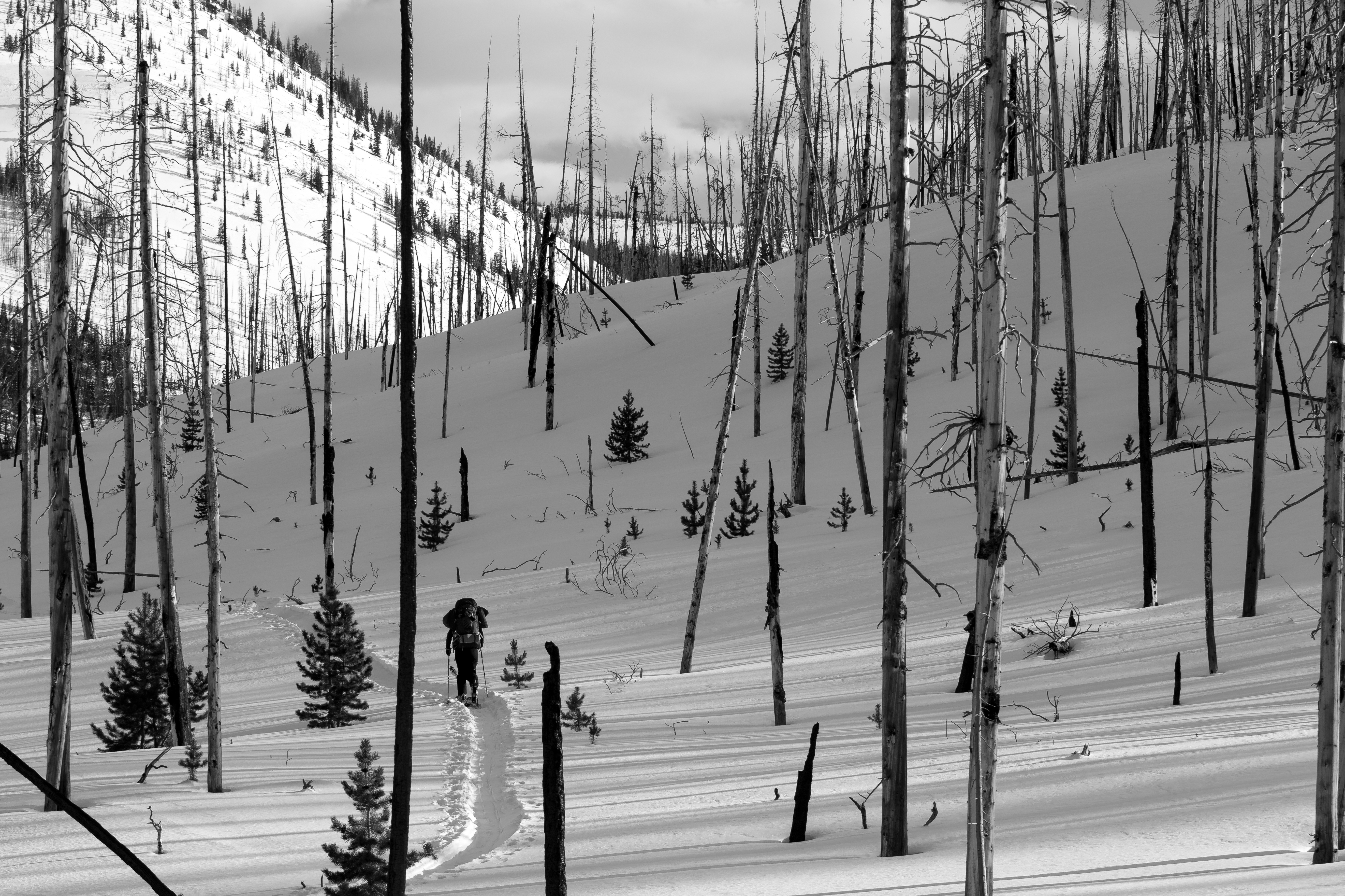 Utah's Uinta Backcountry