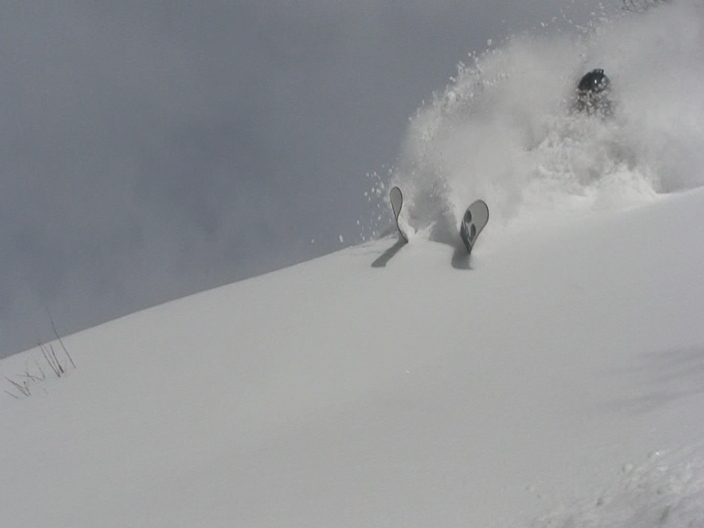 Vail pow day