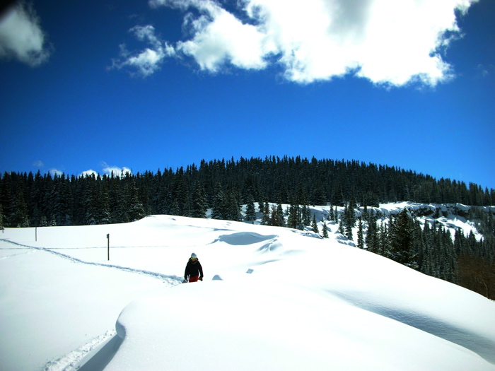 Vail
