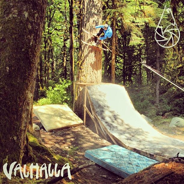 Valhalla Tree Jibbing