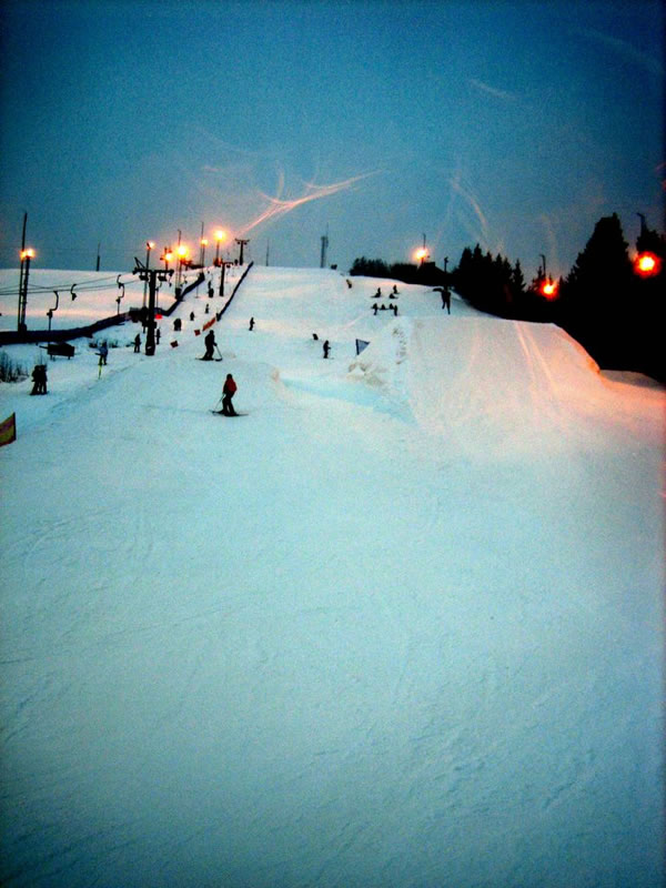 Väsjö backen park overview