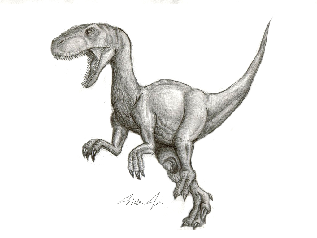Velociraptor