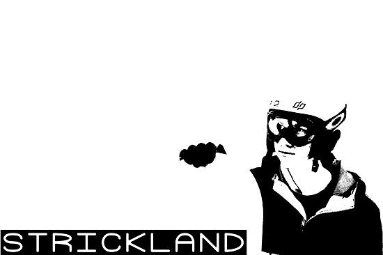 Very basic but my friend likes it