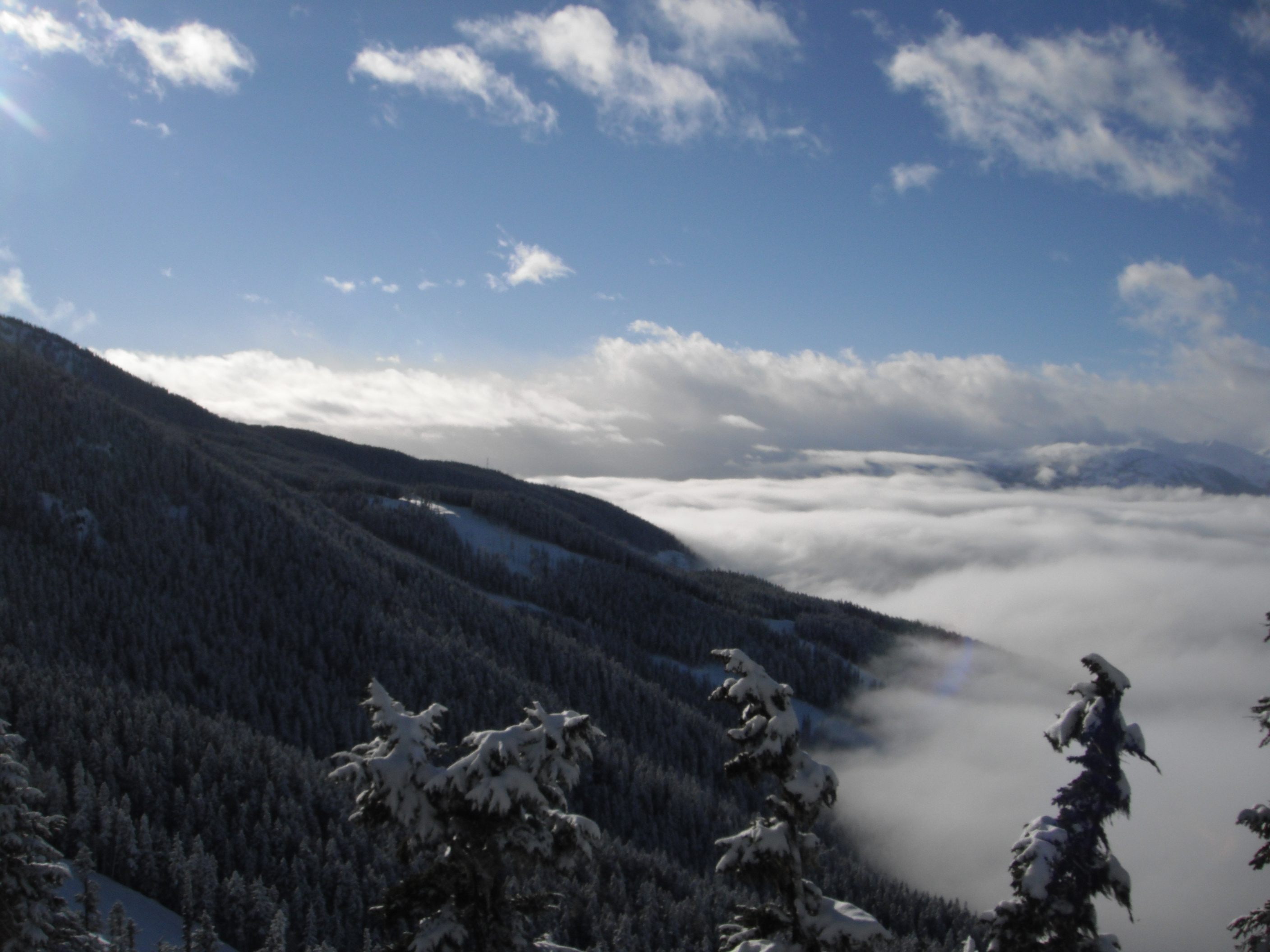 View from lift on Whistler Mt