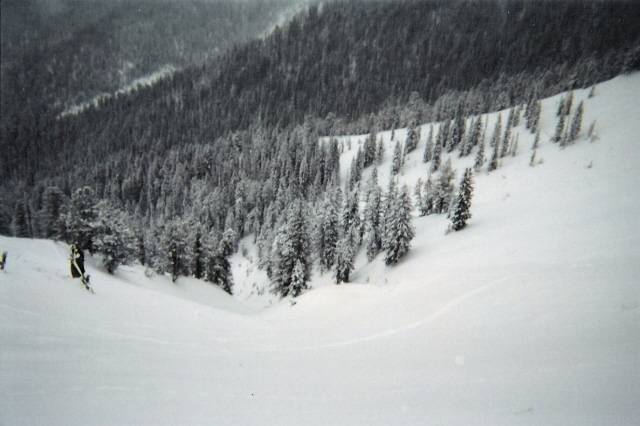 View of Christmas Tree Bowl