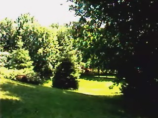 view of my front yard